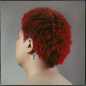 小坂七香主演电影免费观看
