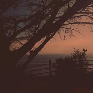 小坂七香主演电影免费观看
