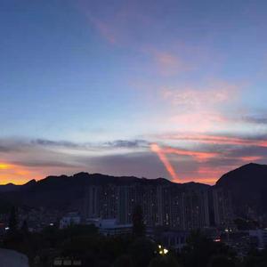 小坂七香主演电影免费观看
