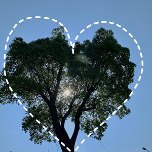 小坂七香主演电影免费观看
