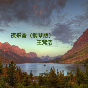 小坂七香主演电影免费观看
